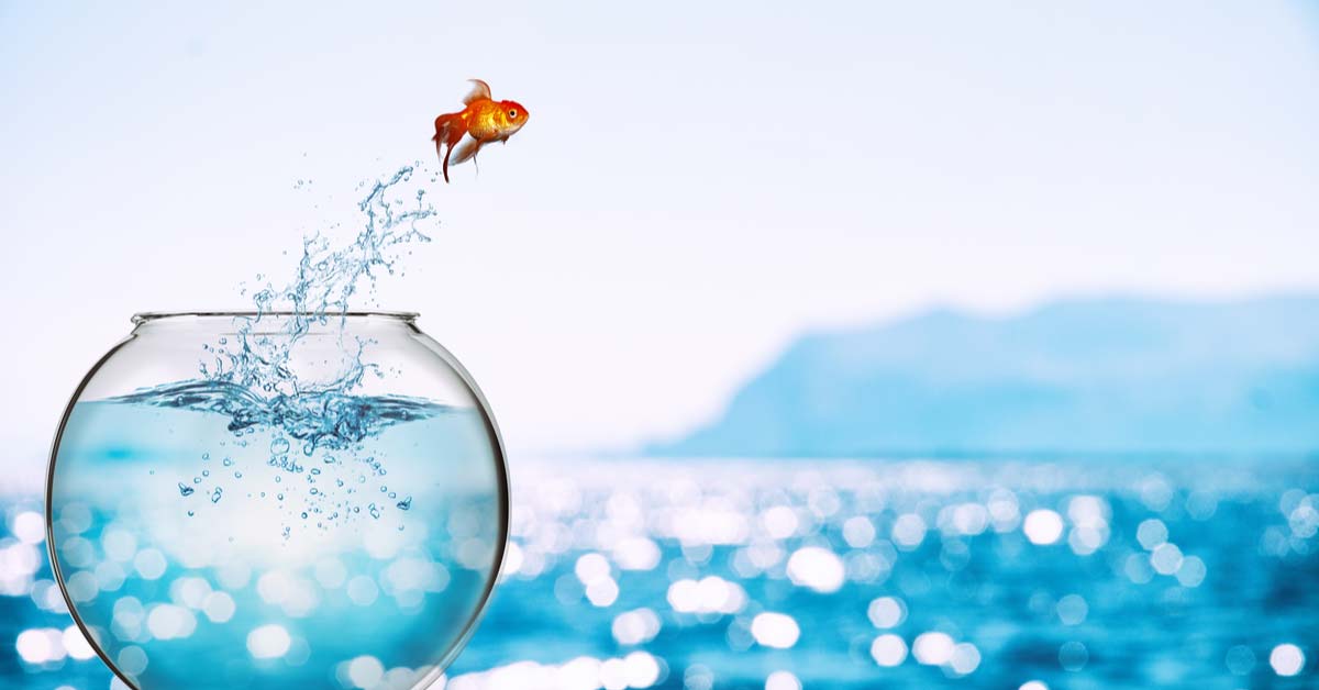 Nyheter i Business Central 2021