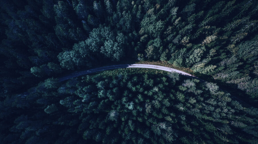 Business Intelligence Two