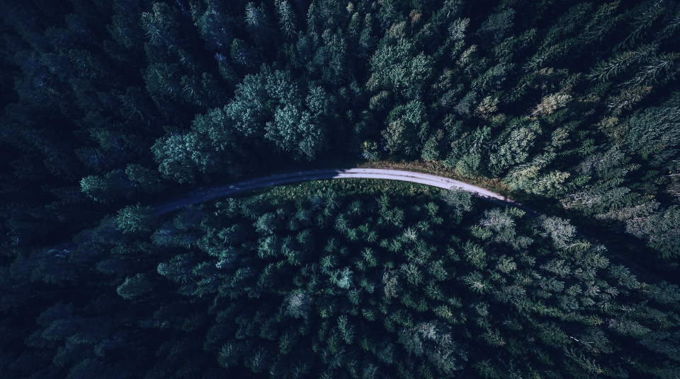 Business Intelligence Two