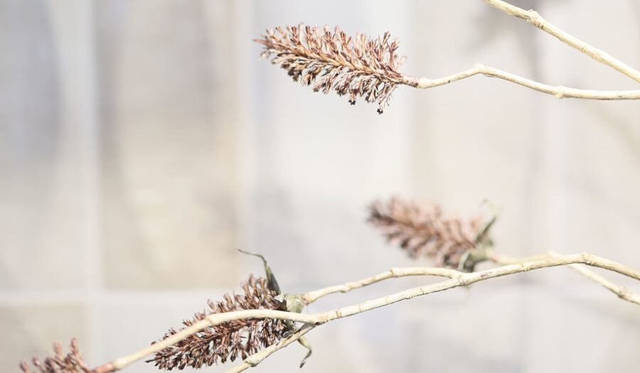 Microsoft Power Platform