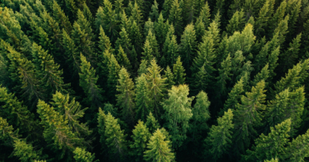 5-fördelar-med-QlikSense